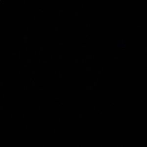 Meet your Posher, Hunter